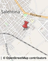Geometri Campi Salentina,73012Lecce