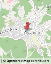 Ristoranti Trecchina,85049Potenza