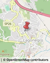 Piante e Fiori - Dettaglio Lagonegro,85042Potenza