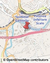 Segherie Potenza,85100Potenza