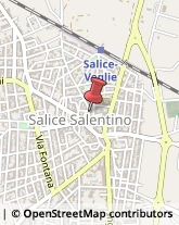 Associazioni Sindacali Salice Salentino,73015Lecce