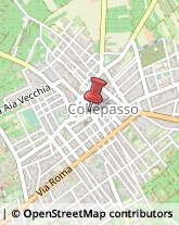 Articoli per Ortopedia Collepasso,73040Lecce