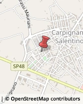 Agenti e Rappresentanti di Commercio Carpignano Salentino,73020Lecce