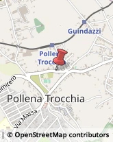 Alimentari Pollena Trocchia,80040Napoli