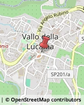 Avvocati Vallo della Lucania,84078Salerno