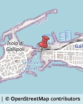 Pesce - Lavorazione e Commercio Gallipoli,73014Lecce