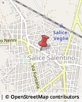 Imprese Edili Salice Salentino,73015Lecce