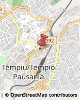 Articoli per Ortopedia Tempio Pausania,07029Olbia-Tempio