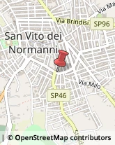 Animali Domestici - Vendita San Vito dei Normanni,72019Brindisi