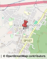 Piante e Fiori - Dettaglio Roccapiemonte,84086Salerno