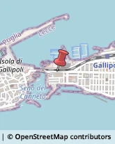 Spedizionieri Doganali Gallipoli,73014Lecce