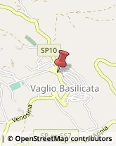 Piante e Fiori - Dettaglio Vaglio Basilicata,85010Potenza