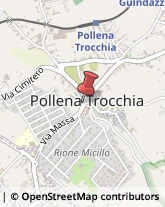 Protezione Civile - Servizi Pollena Trocchia,80040Napoli