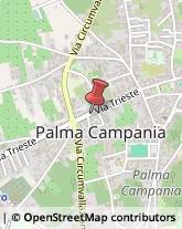 Macellerie Palma Campania,80036Napoli