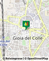 Fiorai - Forniture ed Accessori Gioia del Colle,70023Bari