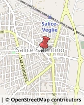 Associazioni Socio-Economiche e Tecniche Salice Salentino,73015Lecce