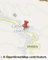 Piante e Fiori - Dettaglio Castel San Lorenzo,84049Salerno