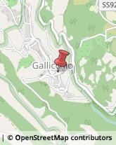 Autotrasporti Gallicchio,85010Potenza