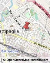 Porcellane - Dettaglio Battipaglia,84091Salerno