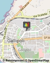 Autotrasporti Gallipoli,73014Lecce