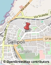 Autotrasporti Gallipoli,73014Lecce