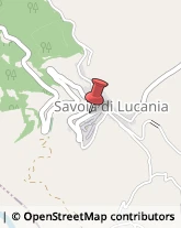 Comunità e Comprensori Montani Savoia di Lucania,85050Potenza