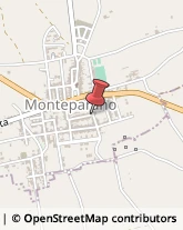 Ortofrutticoltura Monteparano,74020Taranto
