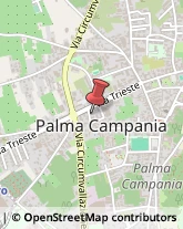Avvocati Palma Campania,80036Napoli