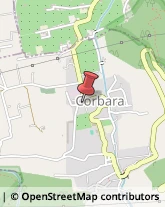 Autotrasporti Corbara,84010Salerno