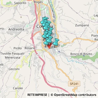 Mappa Via Giuseppe Garibaldi, 87100 Cosenza CS, Italia (1.255)