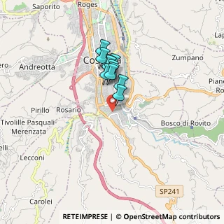 Mappa Via Giuseppe Garibaldi, 87100 Cosenza CS, Italia (1.30364)