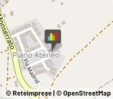 Agenti e Rappresentanti di Commercio,09028Cagliari