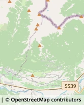 Frutta e Verdura - Dettaglio Teglio,23036Sondrio