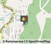 Consulenza Informatica Segonzano,38047Trento