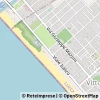 Map Forte dei Marmi