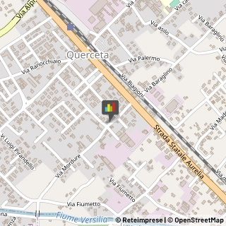 Consulenze Speciali Seravezza,55047Lucca