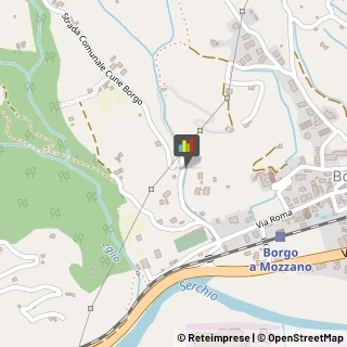 Aziende Agricole Borgo a Mozzano,55023Lucca