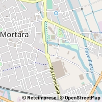 Kart Mortara