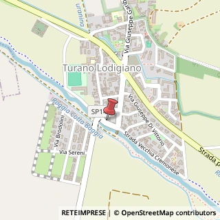 Mappa Via Vecchia Cremonese, 1, 26828 Turano Lodigiano LO, Italia, 26828 Lodi, Lodi (Lombardia)