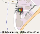 Zootecnia - Prodotti,26020Cremona