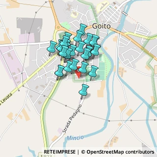 Mappa Via Nino Rota, 46044 Goito MN, Italia (0.33)
