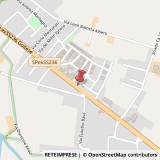 Mappa Via Ferraris Galileo, 21, 46044 Goito, Mantova (Lombardia)