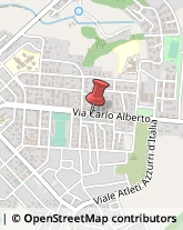 Via Carlo Alberto, 86,04016Sabaudia