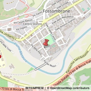 Mappa Via F. M. Torricelli, 39, 61034 Fossombrone, Pesaro e Urbino (Marche)