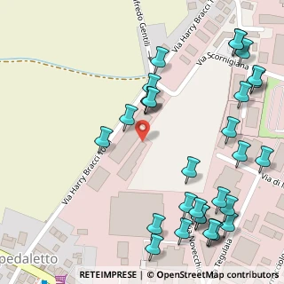 Mappa Via Harry Bracci Torsi, 56125 Pisa PI, Italia (0.17)
