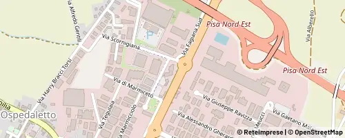 Mappa 피사