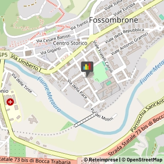 Palestre e Centri Fitness,61034Pesaro e Urbino