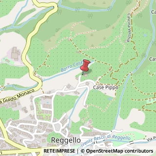 Mappa Località Caselli Casapippo, 172E, 50066 Reggello, Firenze (Toscana)