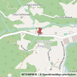 Mappa Via roma-ortignano 1, 52010 Ortignano Raggiolo, Arezzo (Toscana)