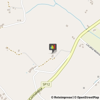 Bed e Breakfast Senigallia,60019Ancona